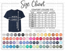 Load image into Gallery viewer, Comfort Colors T-Shirt
